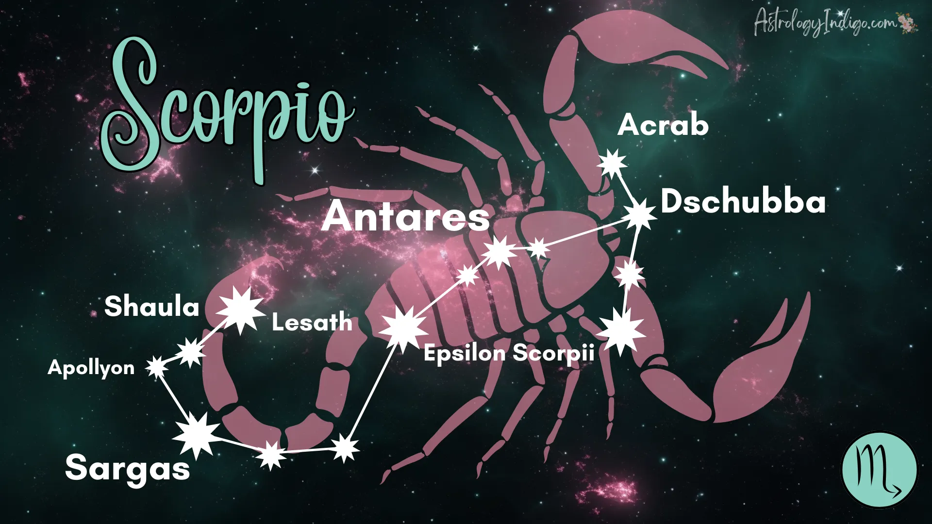 The Scorpio constellation with information about the stars and a pink image of a Scorpion behind it.