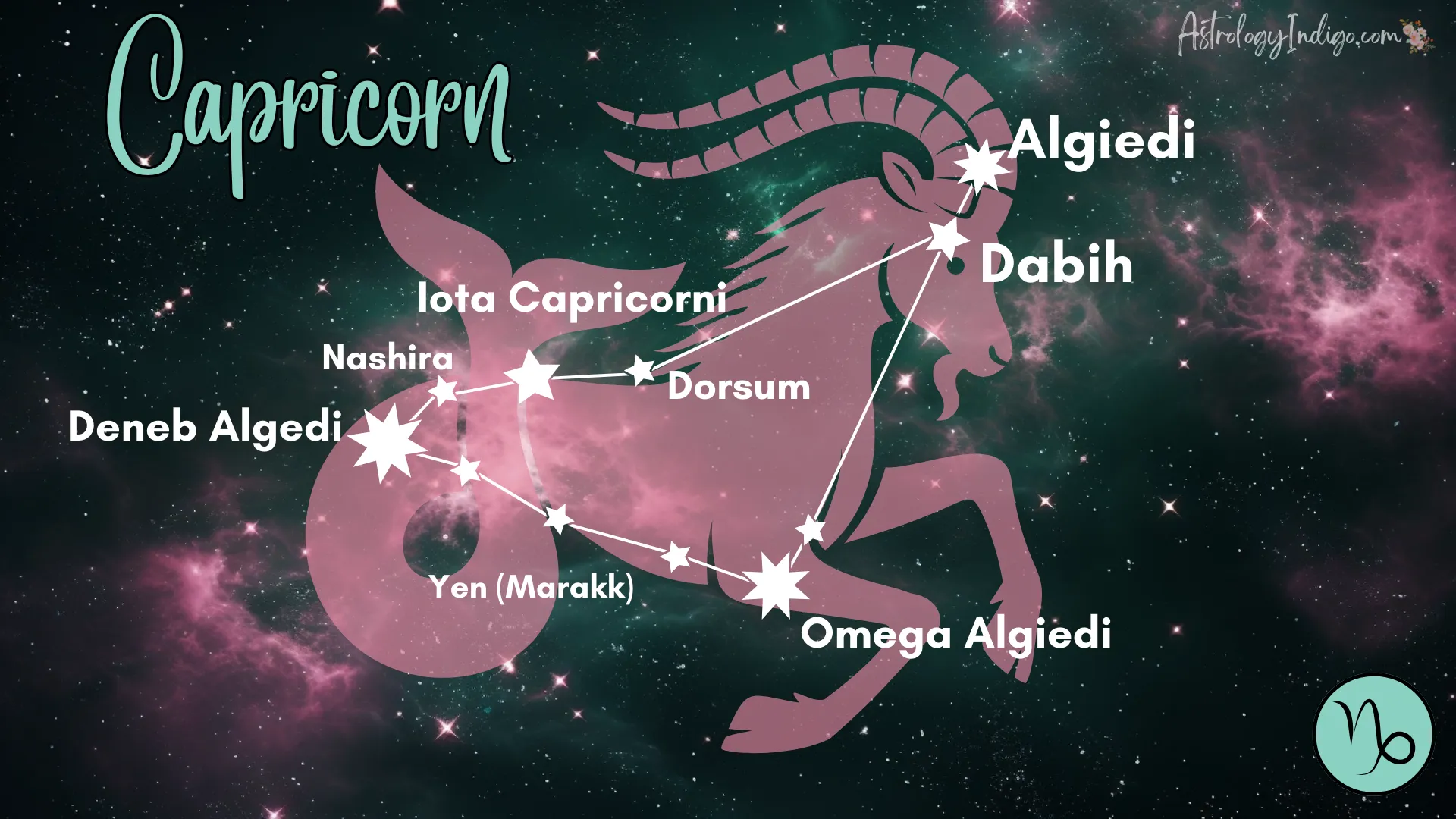 The Capricorn constellation with information about the stars and a pink image of a Sea Goat behind it.