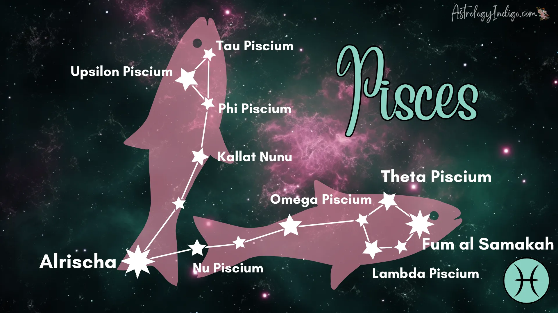 The Pisces constellation with information about the stars and an image of two pink fish behind it.